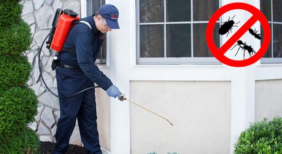 Yenifakılı Hamam Böceği İlaçlama böcek ilaçlama ve haşere kontrolü — ilaclama-tr.com